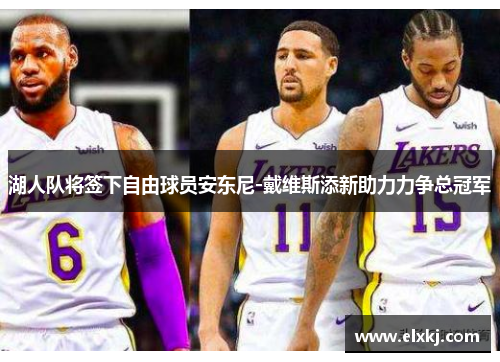 湖人队将签下自由球员安东尼-戴维斯添新助力力争总冠军